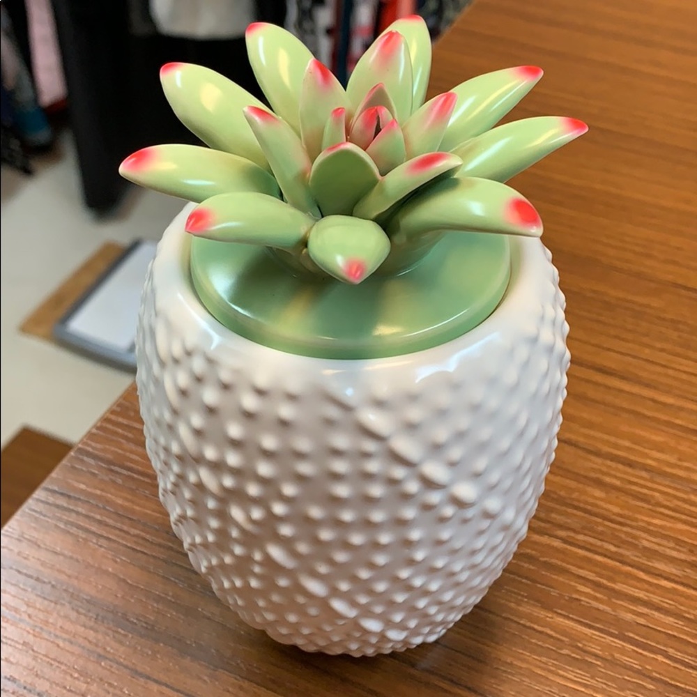 Anthropologie succulent candle